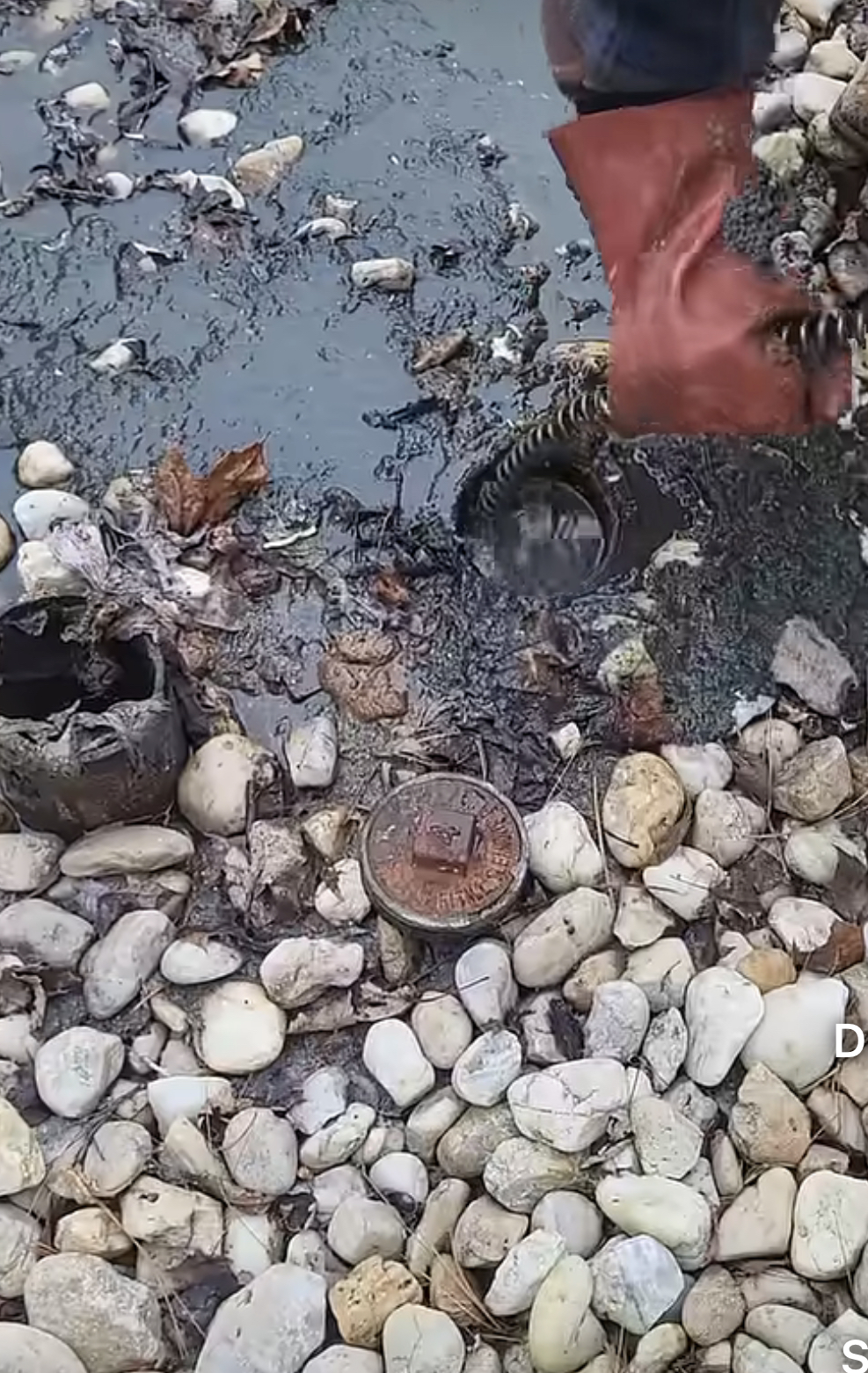 Drain Cleaning