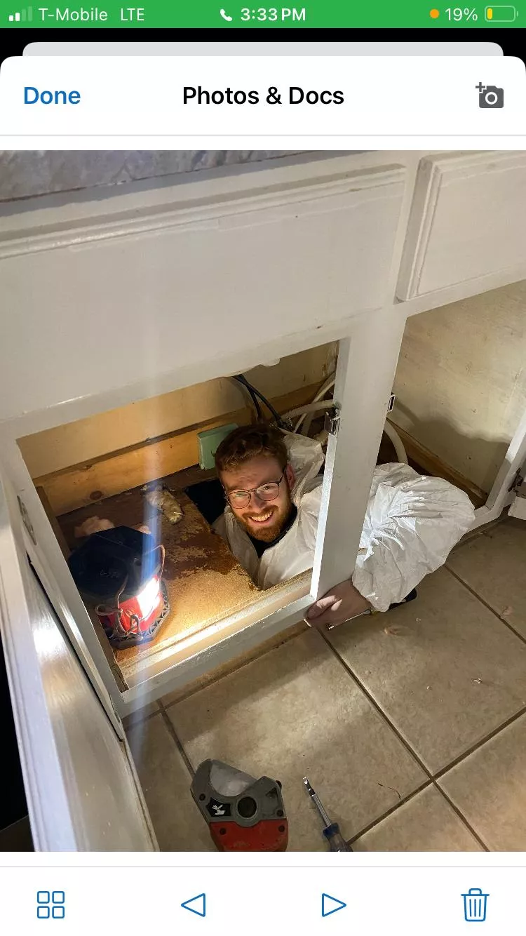 Andrew working under cabinet