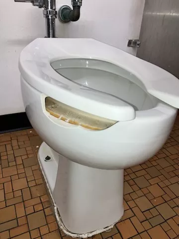 Broken toilet bowl