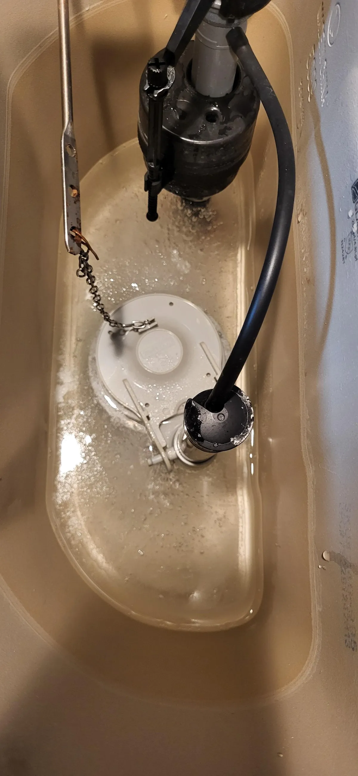 Toilet hopper